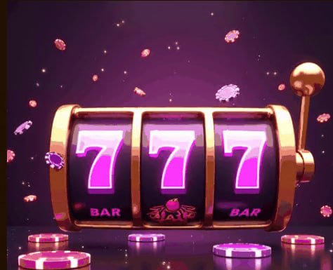 zly88